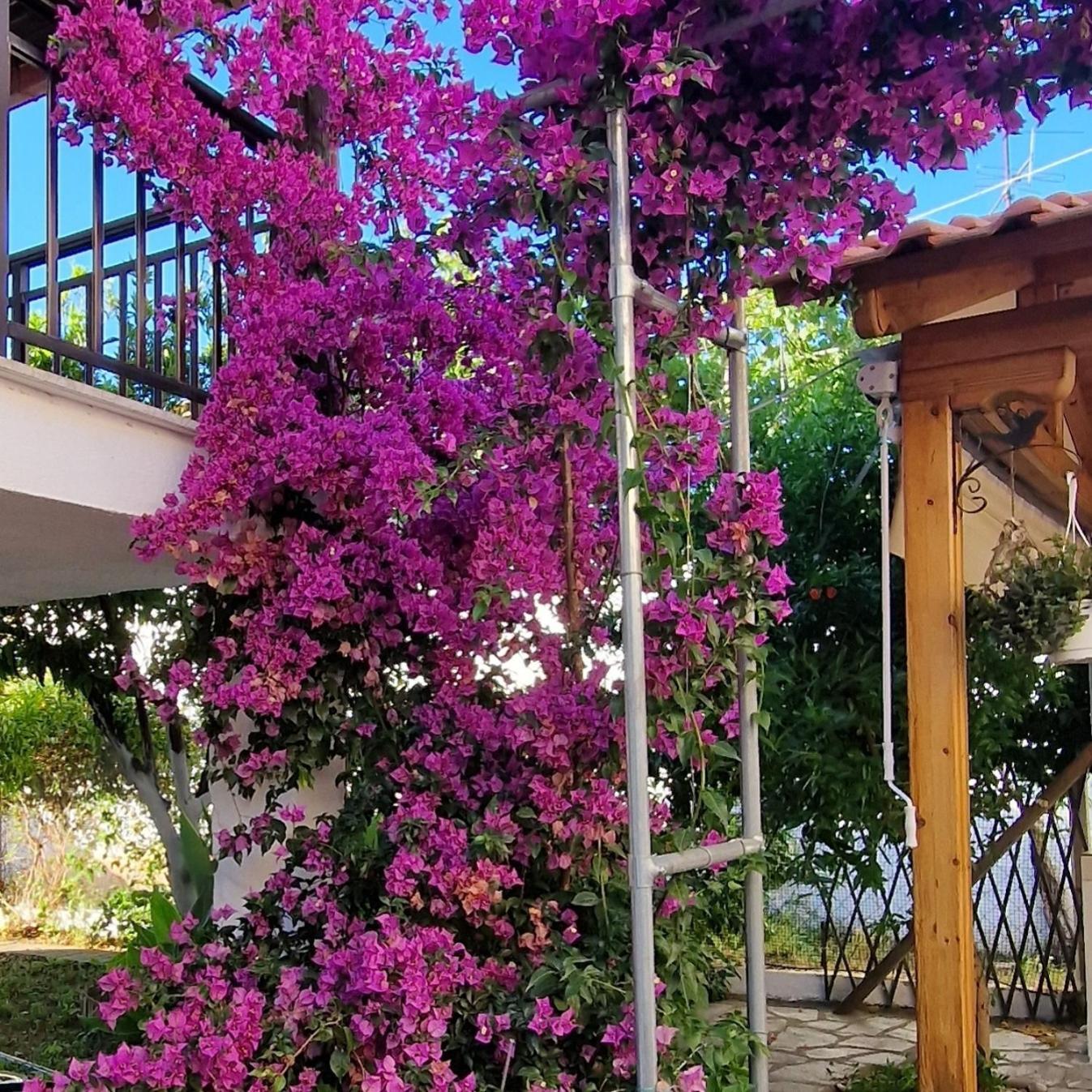 Apartament Nikolaos House Ajos Nikolaos Zewnętrze zdjęcie